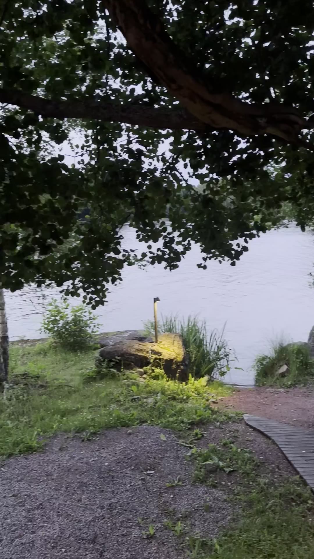 Video rantasaunan ympäristöstä